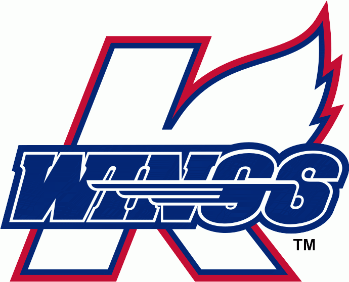 kalamazoo wings 2009-pres primary logo iron on heat transfer